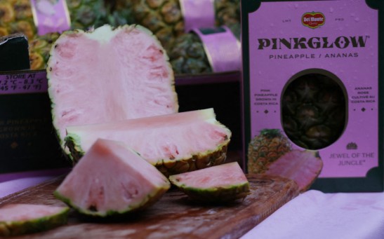 COSTA RICA-AGRICULTURE-PINK PINEAPPLE