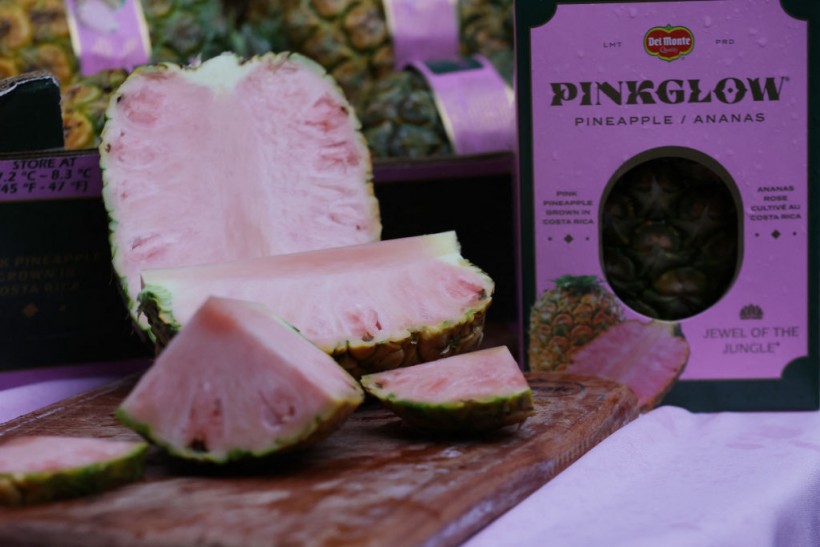 COSTA RICA-AGRICULTURE-PINK PINEAPPLE