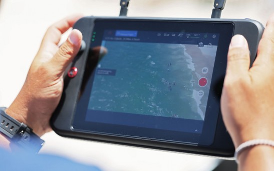 New York To Deploy Shark-Monitoring Drones Along State Beaches
