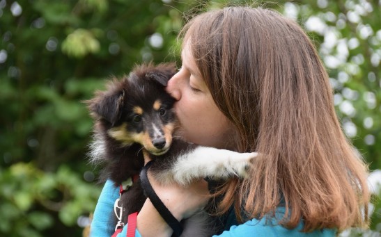 Is Kissing Your Pet Safe or a Potential Health Risk? Exploring Diseases That Humans May Get From Their Beloved Furry Companions