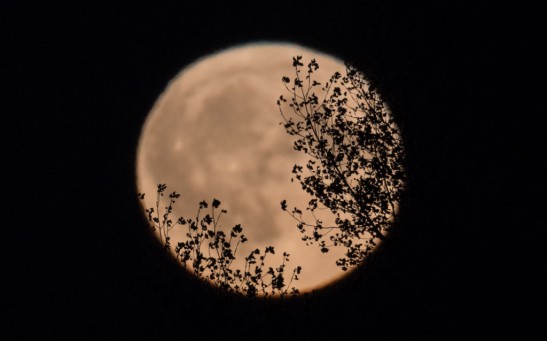Harvest Moon Rises Over Somerset