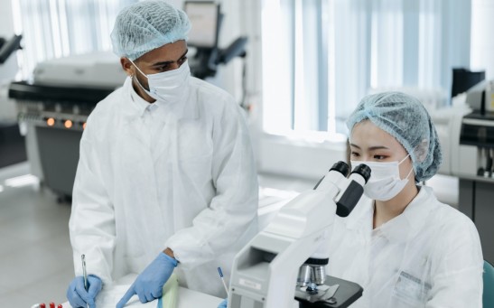 Two Laboratory Technicians at Work