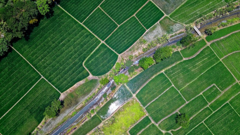 Bird's Eye View of River in Middle of Green Fields