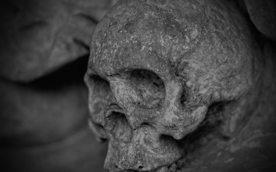 Unearthed 15,000-Year-Old Human Skulls Point to Widespread Cannibalistic Funeral Practices in Ancient European Cultures 