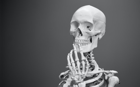 Are Teeth Bones? Are They Not Considered Part of the Skeletal System?
