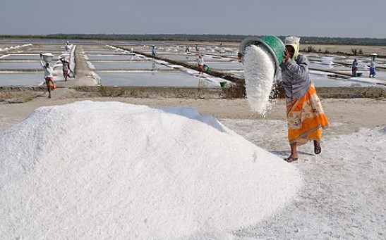 Human Activities Disrupt Natural Salt Cycle on a Global Scale; Experts Warn of Possible Existential Threat