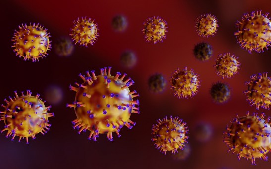 Vampire Viruses Observed For the First Time in the US: What Are These Pathogens?