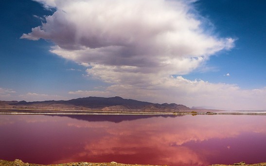 Drought blamed as Maui pond turns bright pink, Hawaii