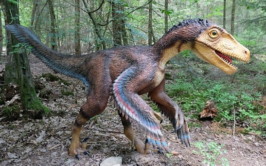 Does Oil Come From Dinosaurs? Geologist Addresses Myth Gasoline Is From Decomposed Velociraptors