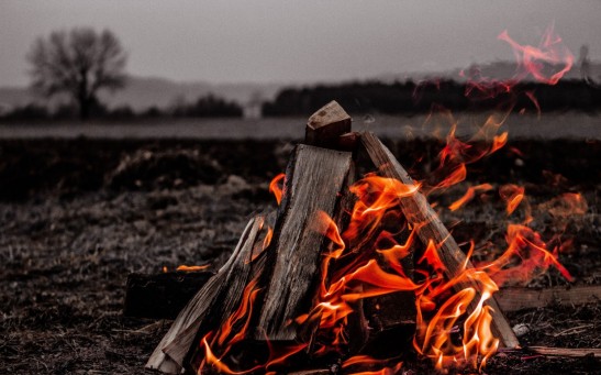 When Did Humans Discover Fire? How Did the Blazing Flames Shape Our History?