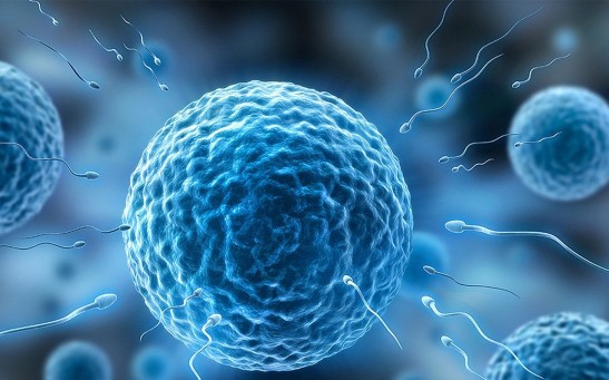 Modern Lifestyle Greatly Influences Sperm Count: Scientists Probe the Impact on Global Infertility Trends