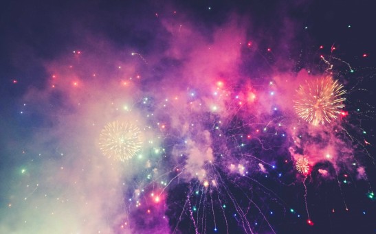 Fireworks' Impact on Birds: Study Urges Large Fireworks-Free Zones for Avian Well-being on New Year's Eve