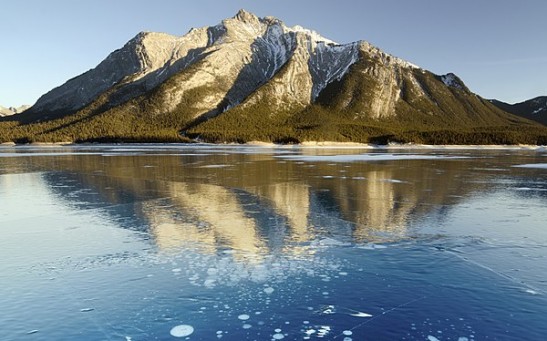 Lake Abraham's Frozen Bubbles: How Did the Pockets of Methane Form and What Makes Them Deadly?