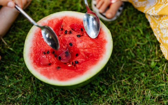 Will Watermelon Seed Grow In Your Stomach?