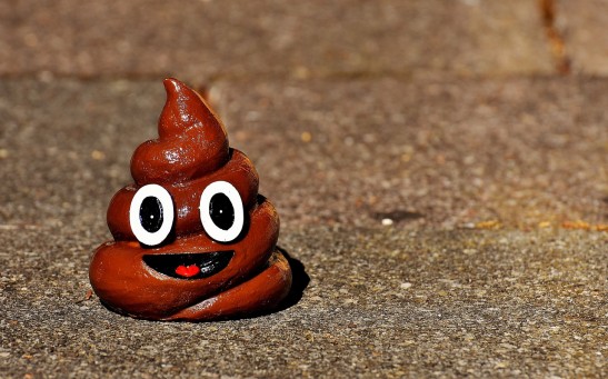 Why Does Poop Smell Bad? The Science Behind the Unpleasant Odor of Stool