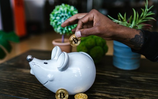 A Person Putting Bitcoin in a Piggy Bank