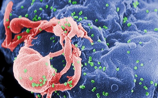 PROTAC Drug Candidates Help Eliminate Viral Reservoir Cells, Show Potential  in Suppressing HIV Replication