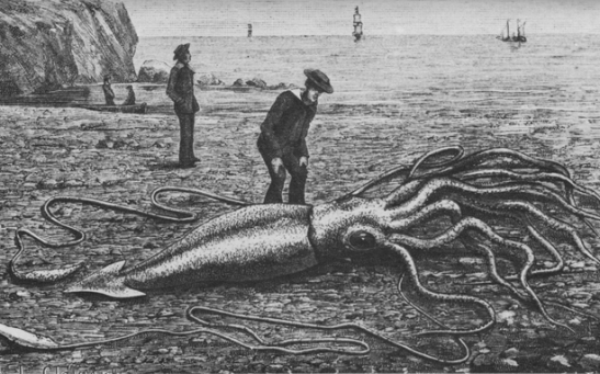 Deep Sea Gigantism: Why Do Creatures in the Depth of the Oceans Grow so Big?