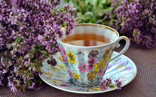 Kombucha Tea Mirrors Benefits of Fasting in Humans [Study]