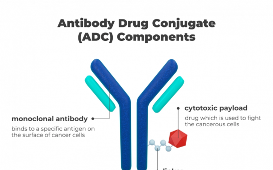 Antibody Drug Conjugate (ADC) Components