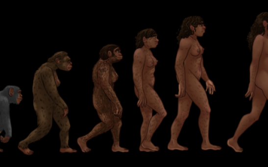 Human Evolution Is Not Only Driven By Climate Change, Competition Plays a Part Too [Study]