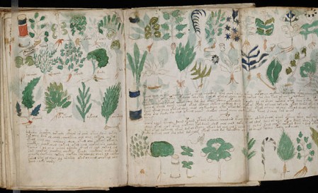 600-Year-Old Voynich Manuscript Cracked; Encrypted Text Includes Censored Information on Sex, Contraception, Gynecology