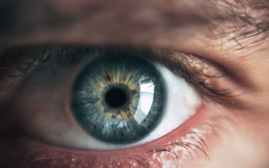 Why Can’t We See Ultraviolet Light? Exploring the Limits of Human Vision