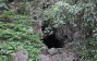 Cave of Death in Costa Rica Appears Harmless But Can Instantly Kill Anyone at the Entrance