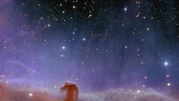 NASA's James Webb Shares High-Definition Photos of Horsehead Nebula With Its Billowing 'Mane'