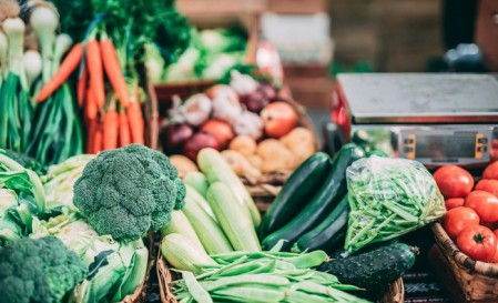 Plant-Based Diets Significantly Lower Risk of Cancer, Heart Disease, and Early Death, Study Finds