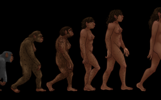 Human Evolution Continues; Captivating Ways We Evolve That Could Lead to Generation of Individuals With Attractive Traits