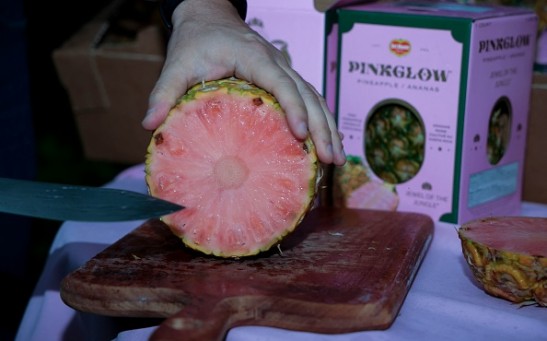 Pink Pineapple: Genetic Marvel or Marketing Gimmick?