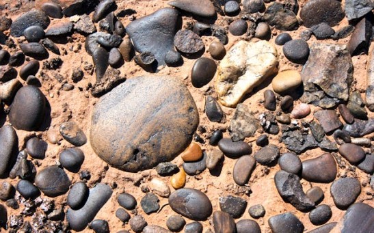 Why Does Google's Latest Experimental Search Tool Feature Make Bizarre Suggestions Like Eating Rocks?