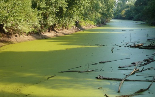 green water