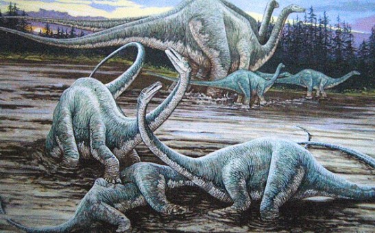 Musankwa Sanyatiensis New Dinosaur Specie