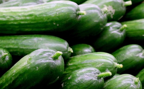 cucumber 