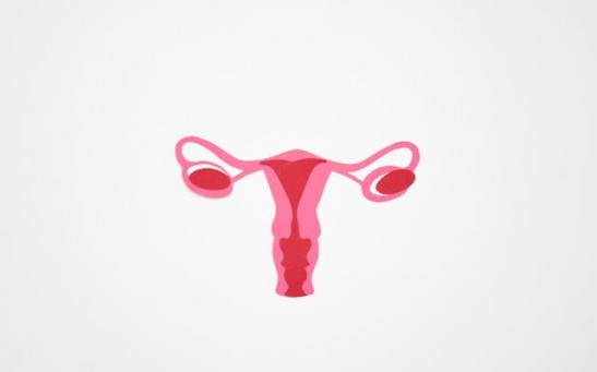 What Is Uterus Didelphys? Weird Anatomical Anomaly Affects a Mom From Hampshire