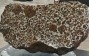Fukang Meteorite: What Is So Special About This Stony-Iron Pallasite? 