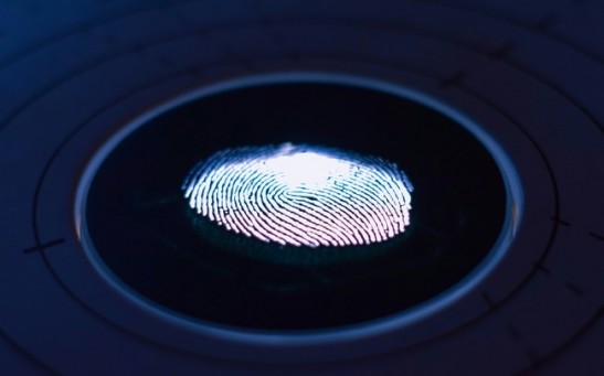  Fingerprint Detection Enhanced by New Manganese-Doped Iron Oxide Nanoparticles
