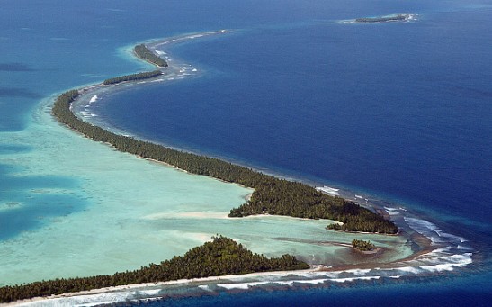 Tracking Wildlife at Palmyra Atoll