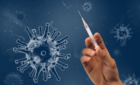  Nanoparticle Vaccines Enhances Influenza Cross-Protection Through Cellular and Mucosal Immune Responses, Recent Study Finds