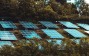 blue solar panels on green trees during daytime