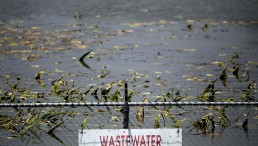 Bacteria in Wastewater Could Help Solve the World's Plastic Pollution Problem