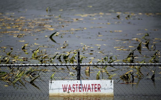 Bacteria in Wastewater Could Help Solve the World's Plastic Pollution Problem