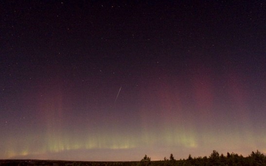 Draconid Meteor Shower to Illuminate October Nights With Early Evening Display of 'Shooting Stars'