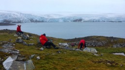 Rapid Warming in Antarctica Sees Vegetation Growth Expand Tenfold Since 1986