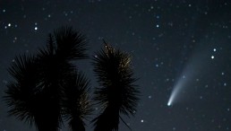 Two Distant Comets Will Light Up the Sky Just Before Halloween