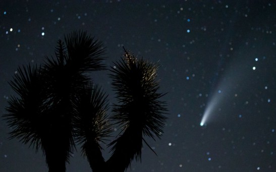 Two Distant Comets Will Light Up the Sky Just Before Halloween