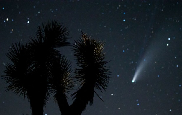 Two Distant Comets Will Light Up the Sky Just Before Halloween