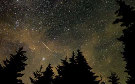 Leonid Meteor Shower Peaks Soon: Here’s Where and When to Watch